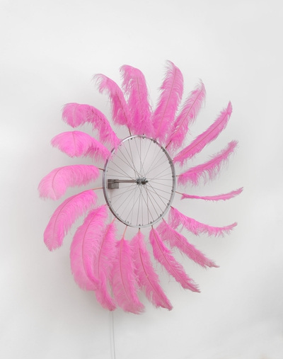 Feathers - Warmth, Seduction, Flight